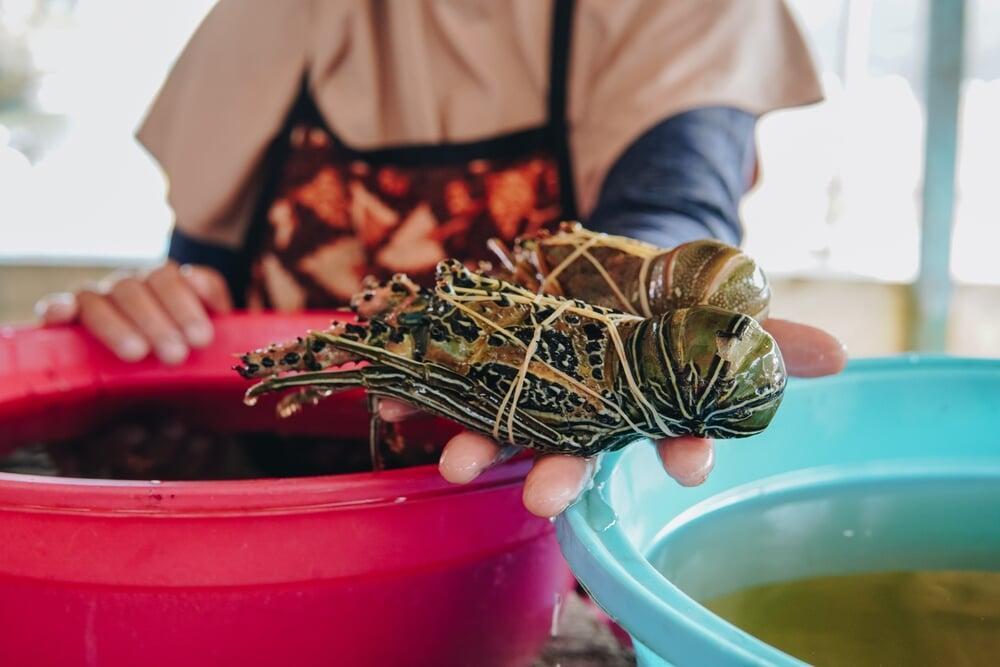 うごめく国際密輸ネットワーク